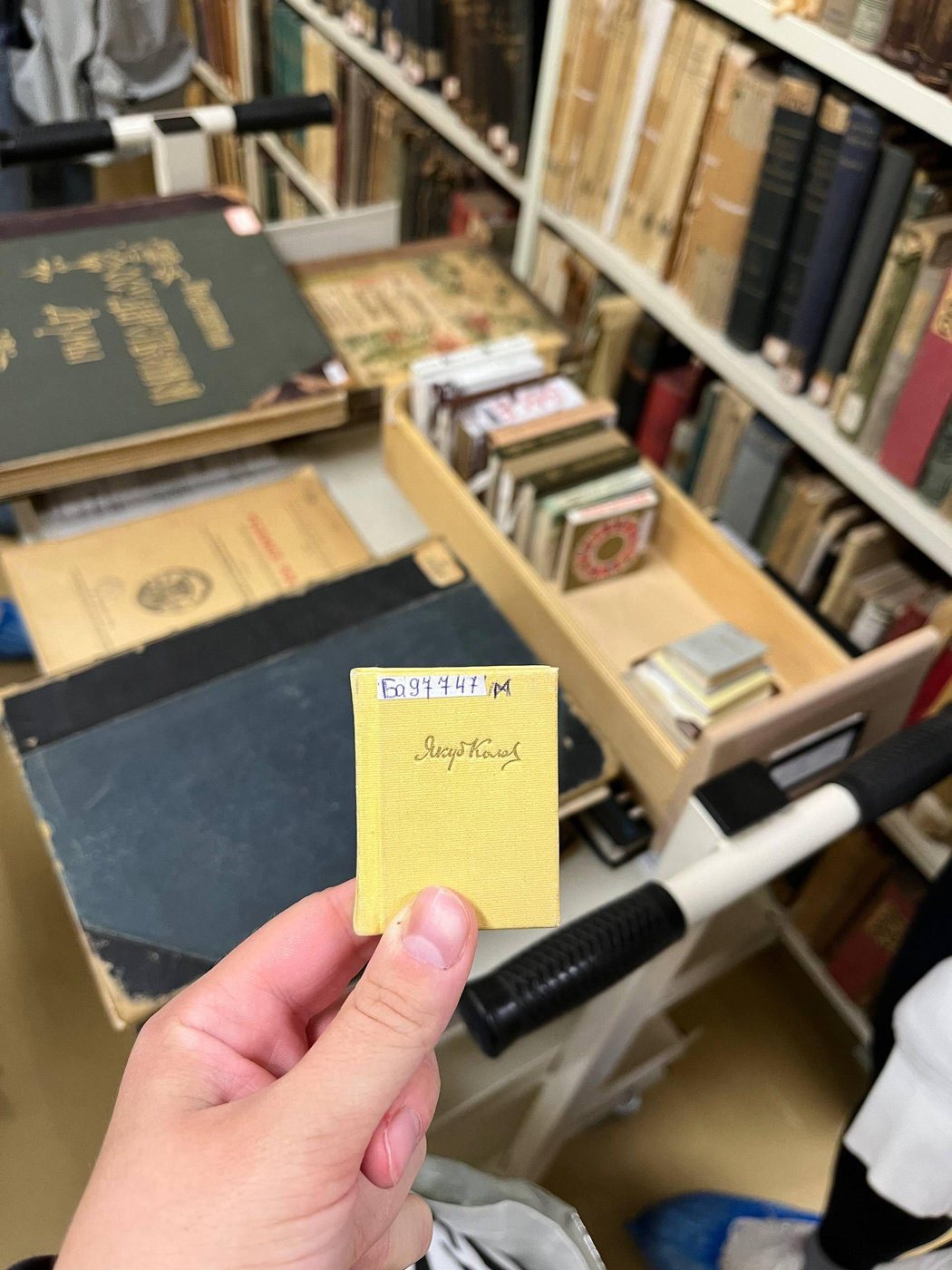 Увидели книжки-малышки